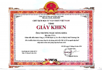 chu-tich-hoi-tu-van-thue-viet-nam